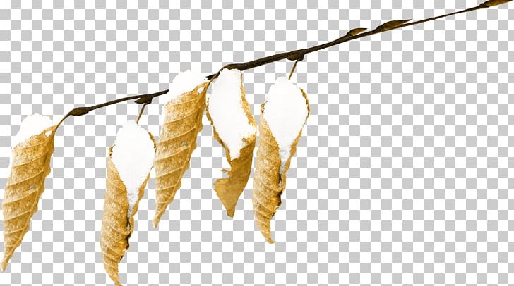 Snow Leaf PNG, Clipart, Branch, Commodity, Encapsulated Postscript, Everywhere, Grass Family Free PNG Download