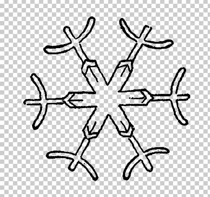 Snowflake Drawing Pattern PNG, Clipart, Angle, Area, Black And White, Branch, Business Administration Free PNG Download