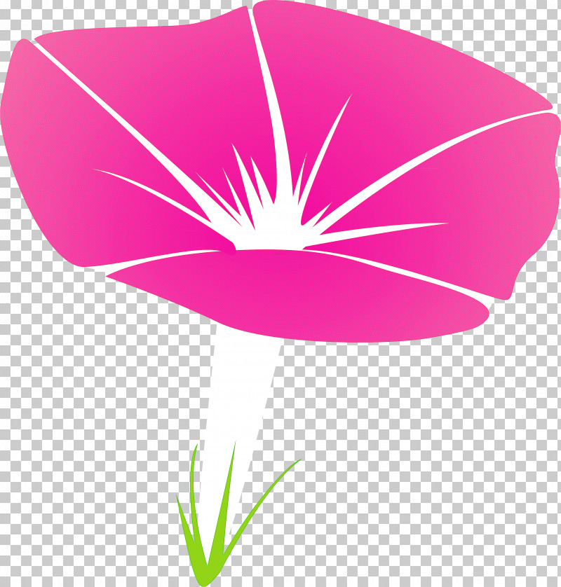 Morning Glory Flower PNG, Clipart, Flower, Leaf, Logo, Magenta, Morning Glory Free PNG Download