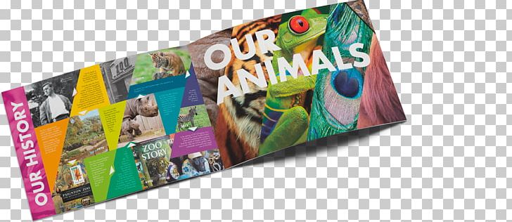 Paignton Zoo Graphic Design Brochure PNG, Clipart, Art, Assets, Brand, Brochure, Color Free PNG Download