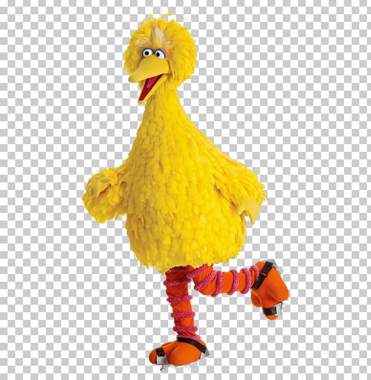 Sesame Street Big Bird Rollerskating PNG, Clipart, At The Movies, Sesame Street Free PNG Download