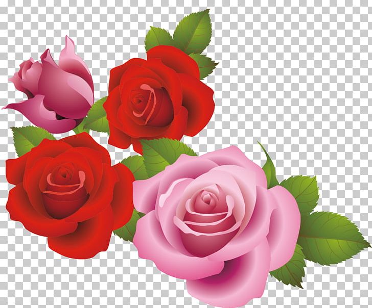 Garden Roses Beach Rose Centifolia Roses Floribunda Pink PNG, Clipart, Artificial Flower, Flower, Flower Arranging, Flowers, Fundal Free PNG Download