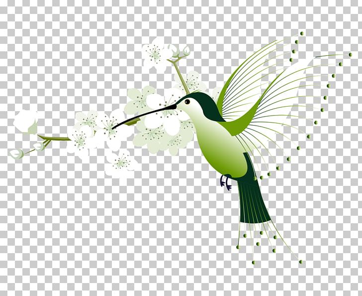 Hummingbird Euclidean Flower PNG, Clipart, Balloon Cartoon, Beak, Bird, Cartoon Animals, Computer Wallpaper Free PNG Download