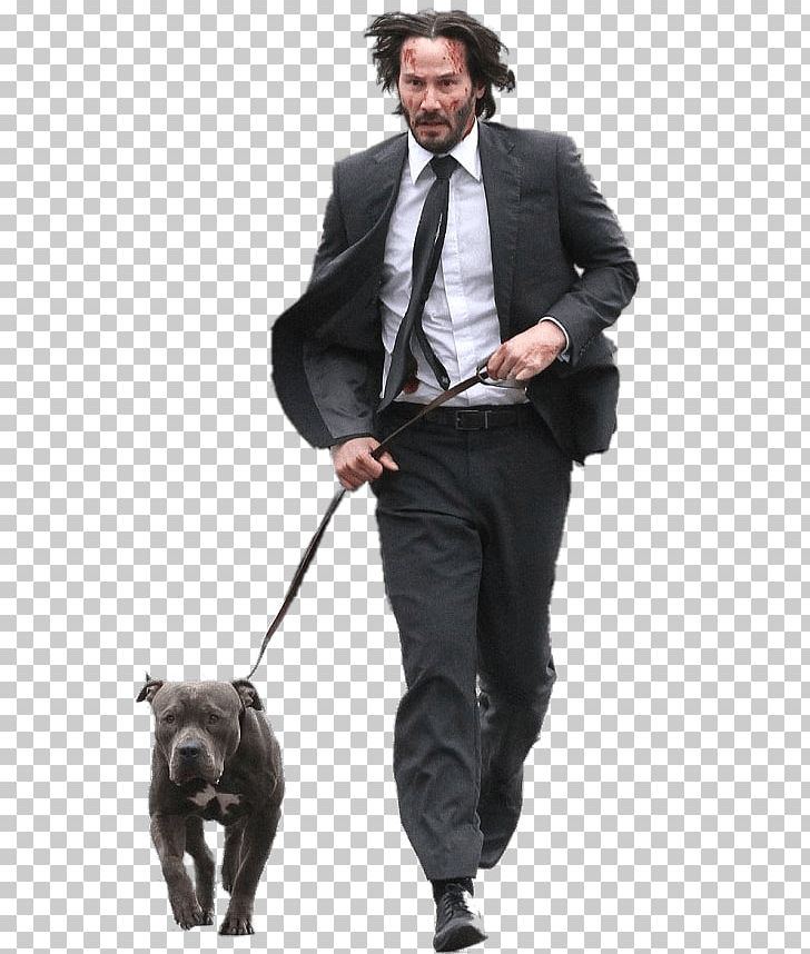 John Wick YouTube PNG, Clipart, Constantine, Dog, Dog Breed, Dog Like Mammal, Dog Walking Free PNG Download