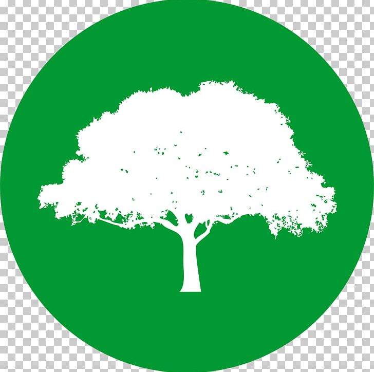 Natural Environment Rochester Christian Church Técnico Em Meio Ambiente Ecology Conservation Movement PNG, Clipart, Circle, Conservation, Conservation Movement, Ecology, Goal Free PNG Download