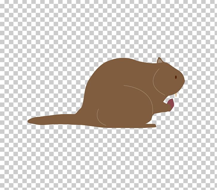 Beaver Rodent Gerbil Graphics Mouse PNG, Clipart, Animals, Beaver, Carnivoran, Cartoon, Drawing Free PNG Download