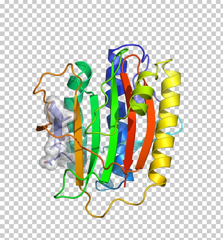 HORMA Domain Meiosis Structure Genetic Recombination Chromosome PNG, Clipart, Area, Art, Axis, Biochemistry, Body Jewelry Free PNG Download