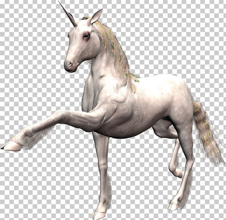 Horse Unicorn Desktop PNG, Clipart, Animal Figure, Animals, Animation, Desktop Wallpaper, Digital Image Free PNG Download