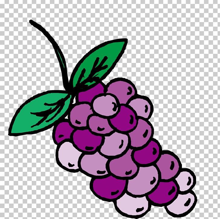Kyoho Grape Auglis PNG, Clipart, Apple Fruit, Art, Artwork, Auglis, Cdr Free PNG Download