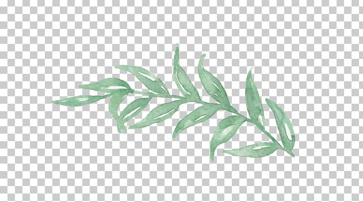 Watercolor Painting Leaf Illustration PNG, Clipart, Branch, Cartoon, Euclidean Vector, Fall Leaves, Grass Free PNG Download