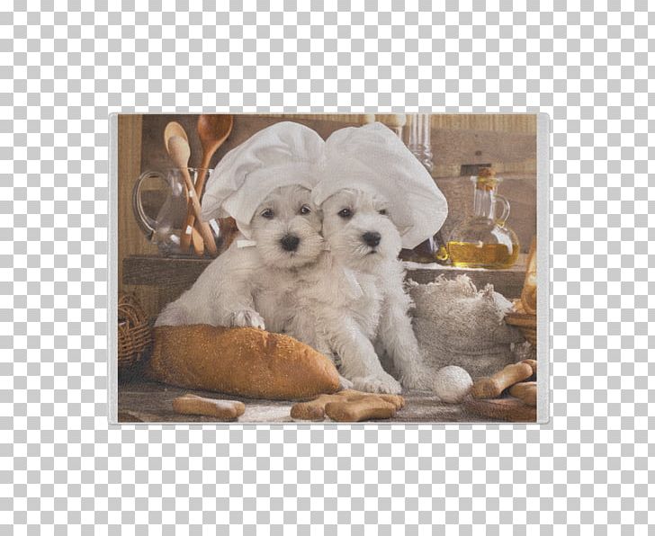 West Highland White Terrier Puppy Samoyed Dog Food Pet PNG, Clipart, Bichon, Carnivoran, Christmas, Cockapoo, Companion Dog Free PNG Download