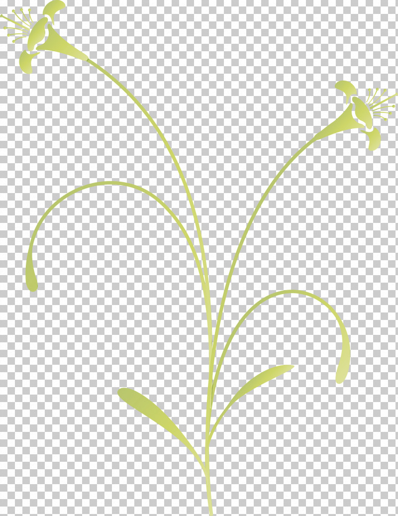 Flower Lily Of The Valley Plant Leaf Pedicel PNG, Clipart, Easter Flower, Flower, Grass, Grass Family, Leaf Free PNG Download