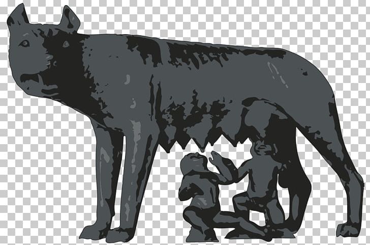 Capitoline Museums Capitoline Wolf Ancient Rome Gray Wolf Romulus And Remus PNG, Clipart, Ancient Rome, Black, Capitoline Hill, Capitoline Museums, Capitoline Triad Free PNG Download