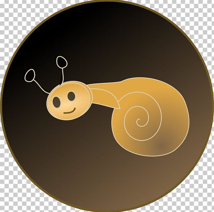 Escargot Land Snail Gastropod Shell PNG, Clipart, Anatomy, Animals, Circle, Escargot, Gastropod Shell Free PNG Download