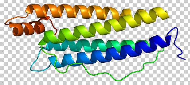 Ferritin Light Chain Immunoglobulin Heavy Chain Immunoglobulin Light Chain Protein PNG, Clipart, Assisted Reproductive Technology, Body Jewelry, Ferritin, Ferritin Light Chain, Immunoglobulin Heavy Chain Free PNG Download