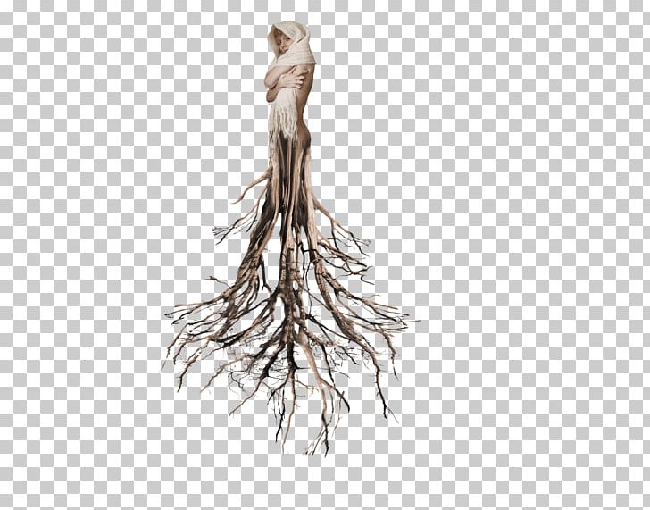 Tree Root PNG, Clipart, Branch, Creepy, Deviantart, Drawing, Miscellaneous Free PNG Download