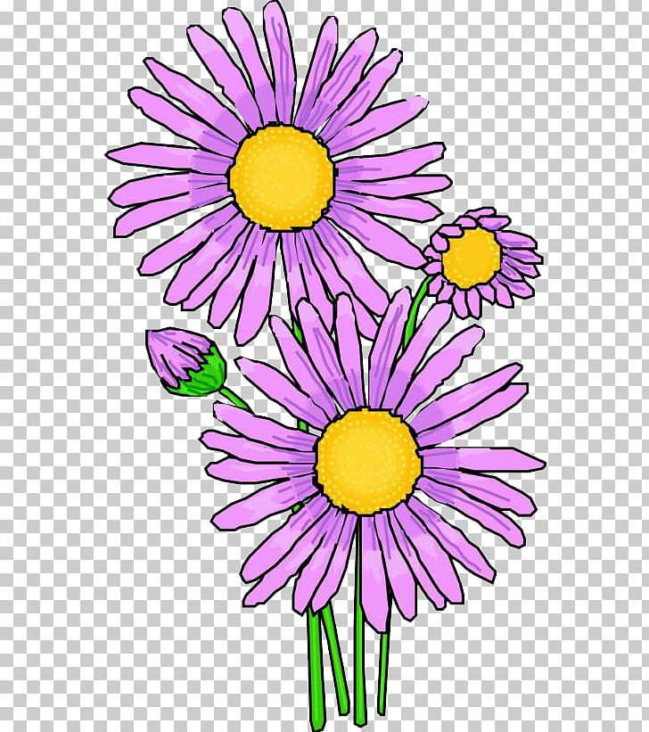 Chrysanthemum Indicum Purple Red PNG, Clipart, Child, Dahlia, Daisy Family, Flower, Flower Arranging Free PNG Download