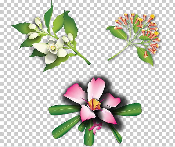 Flower PNG, Clipart, Bitmap, Bloom, Blossom, Cut Flowers, Download Free PNG Download