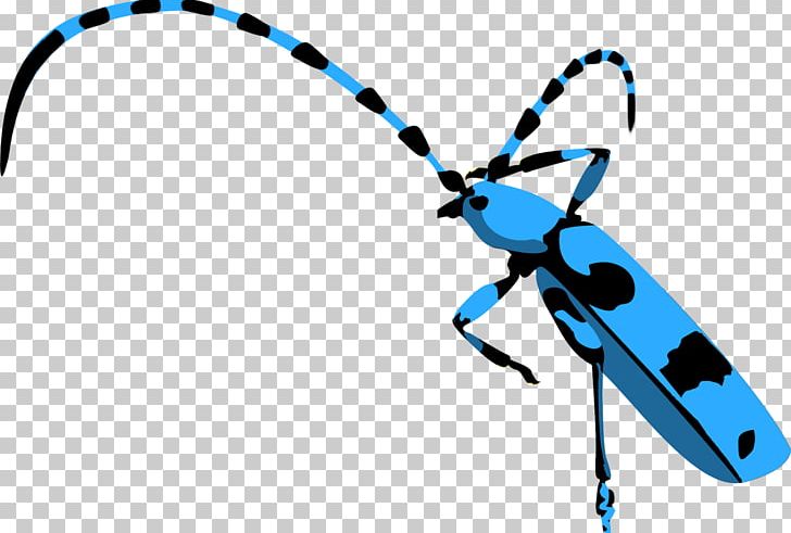 Insect Technology PNG, Clipart, Ancor, Animals, Audio, Blue, Electric Blue Free PNG Download