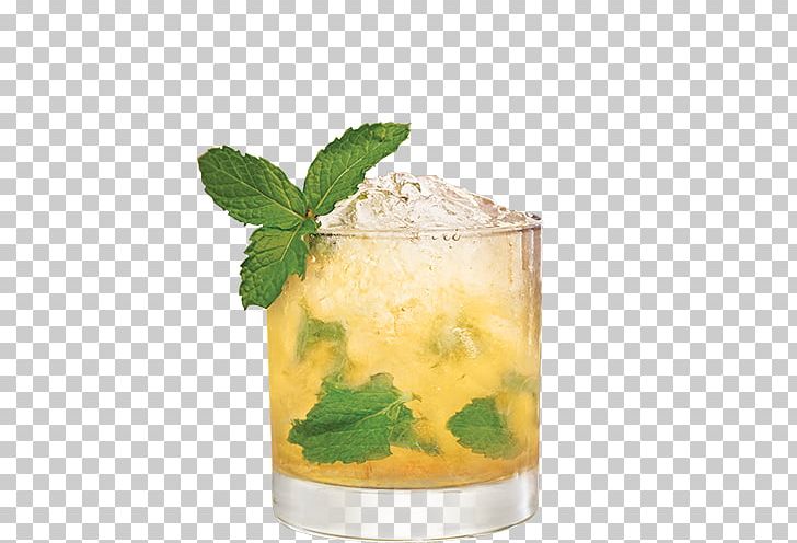 Mint Julep Mojito Mai Tai Cocktail Whiskey PNG, Clipart,  Free PNG Download