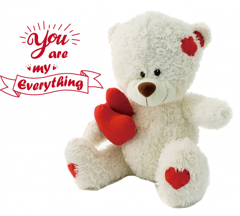 Teddy Bear PNG, Clipart, Bears, Biology, Heart, Plush, Science Free PNG Download