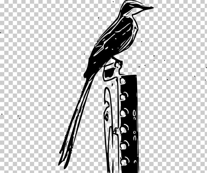 Bird Scissor-tailed Flycatcher PNG, Clipart, Animals, Art, Beak, Bird, Black And White Free PNG Download