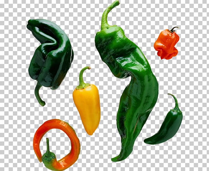 Tabasco Pepper Bell Pepper Chili Pepper Capsaicin Pungency PNG, Clipart,  Free PNG Download