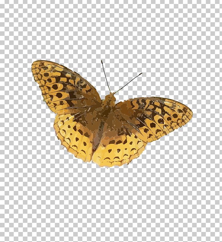 Butterfly Weed Great Spangled Fritillary Insect Gulf Fritillary PNG, Clipart, Animal, Argynnini, Arthropod, Brush Footed Butterfly, Insects Free PNG Download