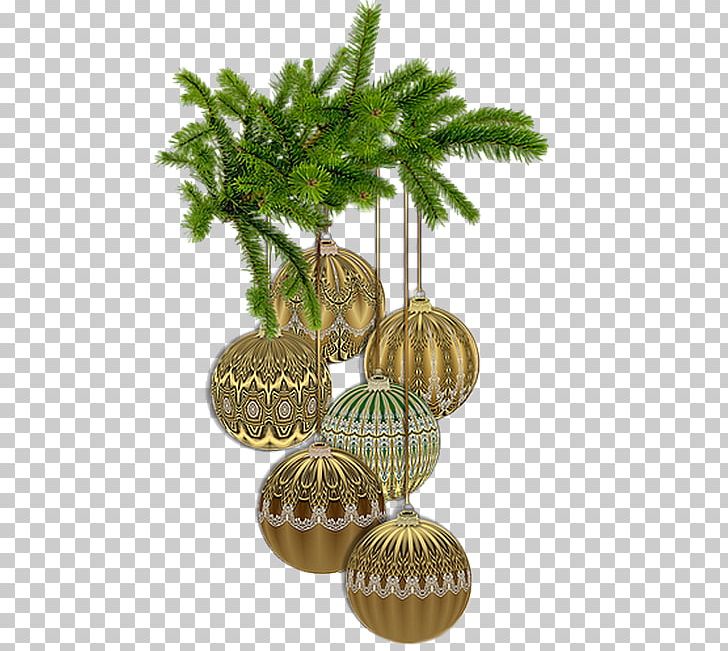 Christmas PNG, Clipart, Boule, Branch, Christmas, Christmas Decoration, Christmas Ornament Free PNG Download
