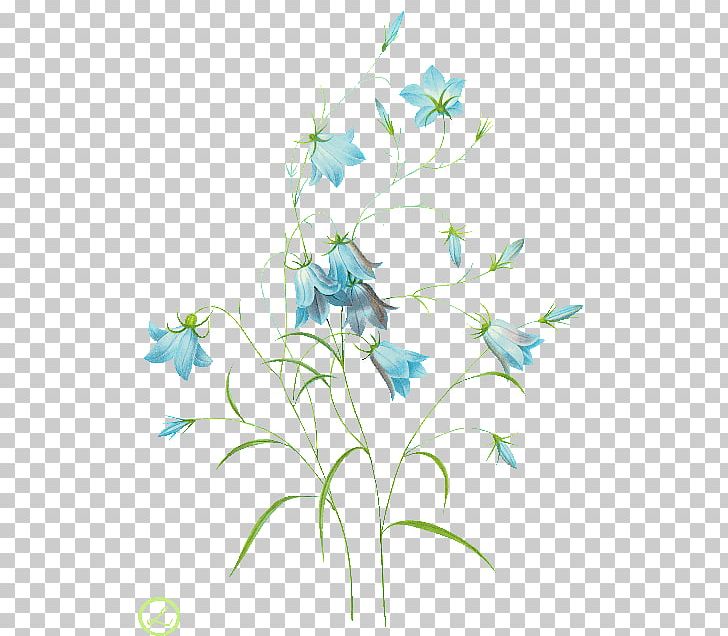 Common Bluebell Harebell Watercolor Painting PNG, Clipart, Art, Artwork, Bluebell, Bluebells, Botany Free PNG Download