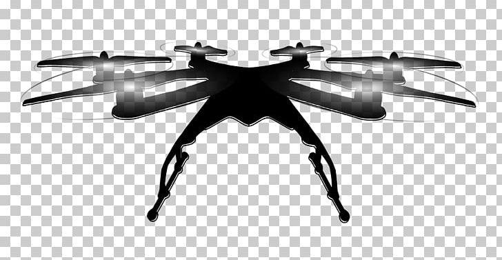 Insect PNG, Clipart, Arthropod, Black And White, Drone Logo, Insect, Invertebrate Free PNG Download