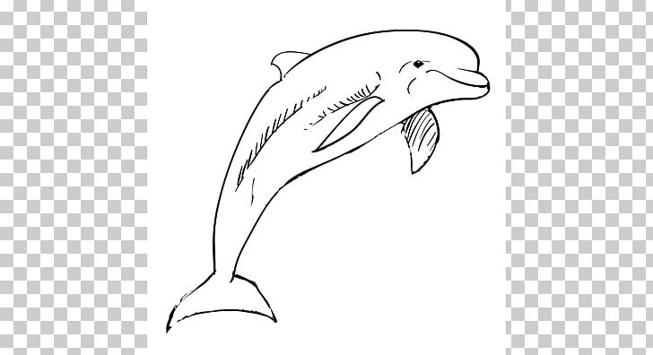 Tucuxi Common Bottlenose Dolphin Drawing Sketch PNG, Clipart, Animals, Art, Artwork, Beak, Black And White Free PNG Download