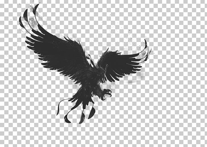 Bald Eagle Phoenix Bird Drawing PNG, Clipart, Artist, Bald Eagle, Beak, Bird, Bird Of Prey Free PNG Download