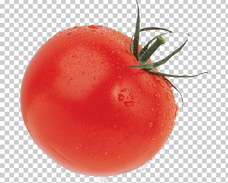 Cherry Tomato Pa Amb Tomàquet Vegetable Food PNG, Clipart, Apple, Bush Tomato, Cherry Tomato, Desktop Wallpaper, Diet Food Free PNG Download