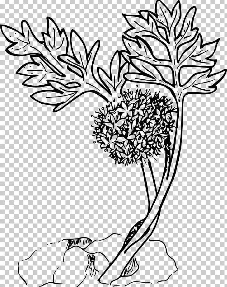 Coloring Book Plant Ocean Sea PNG, Clipart, Aquatic Plants, Art, Artwork, Black And White, Branch Free PNG Download