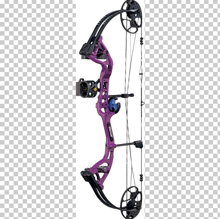 Compound Bows Bear Archery Bow And Arrow Hunting PNG, Clipart,  Free PNG Download