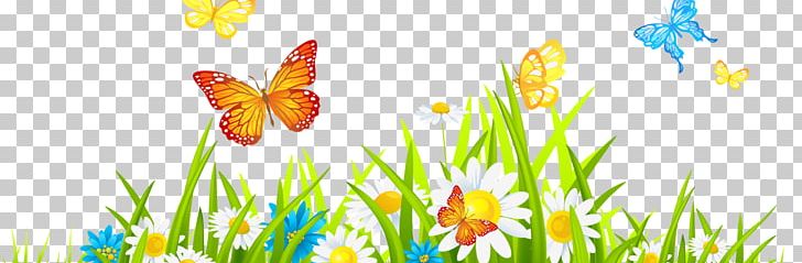 Flower Desktop PNG, Clipart, Butterfly, Cli, Clip Art, Computer Wallpaper, Desktop Wallpaper Free PNG Download