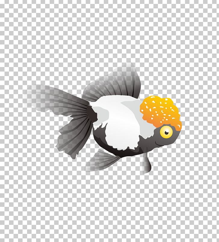 Goldfish CorelDRAW PNG, Clipart, Animals, Balloon Cartoon, Beak, Bird, Box Free PNG Download