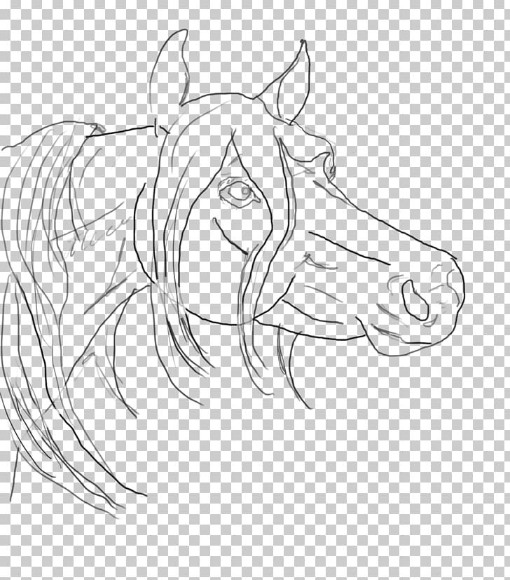 Line Art Arabian Horse Drawing Sketch PNG, Clipart, Arabian Horse, Arm, Art, Artist, Artwork Free PNG Download