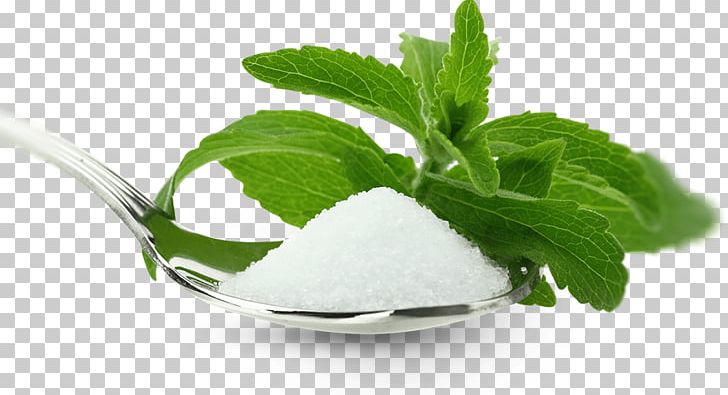 Stevia Health Steviol Glycoside Candyleaf Sugar Substitute PNG, Clipart, Diet, Eating, Food, Health, Health Food Free PNG Download