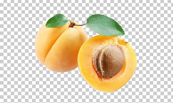 Apricot PNG, Clipart, Apricot, Computer Icons, Desktop Wallpaper, Diet Food, Download Free PNG Download