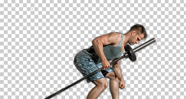 Muscle Hamstring Exercise Strength Training Weight Training PNG, Clipart, Arm, Exercise, Exercise Equipment, Exercise Machine, Exercise Physiology Free PNG Download