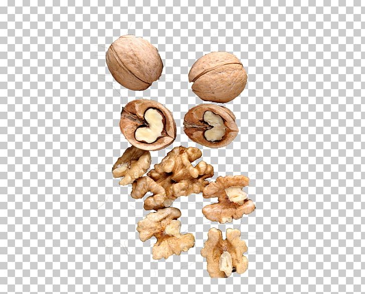 Walnut Fruit Food PNG, Clipart, Auglis, Cashew, Cookie, Dining, Download Free PNG Download