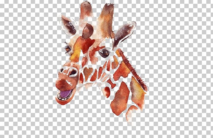 Watercolor Painting Drawing Northern Giraffe PNG, Clipart, Animal, Animals, Art, Christmas Deer, Decoration Free PNG Download