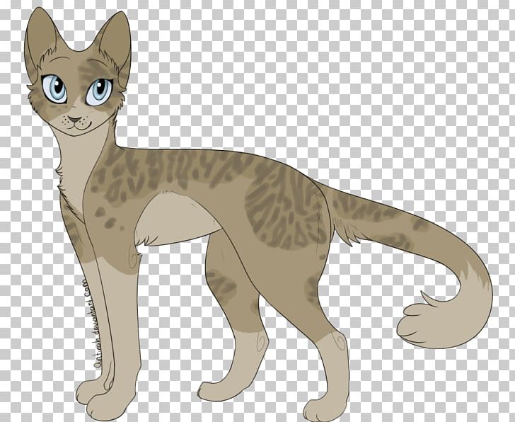 Whiskers Domestic Short-haired Cat Wildcat Warriors PNG, Clipart, Animals, Big Cats, Birchfall, California State Route 71, Carnivoran Free PNG Download