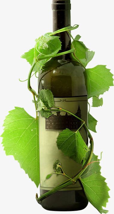 Green Tree Vine Wrapped Around The Bottle PNG, Clipart, Around Clipart, Bottle, Bottle Clipart, Green, Green Clipart Free PNG Download