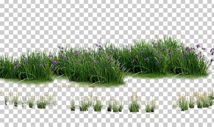 Landscaping Computer File PNG, Clipart, Creative, Creative Grass, Flora, Flower, Flower Bouquet Free PNG Download