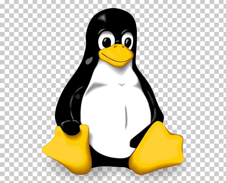 Linux Installation Operating Systems Tux Ubuntu PNG, Clipart, Beak, Bird, Computer Servers, Computer Software, Embedded System Free PNG Download