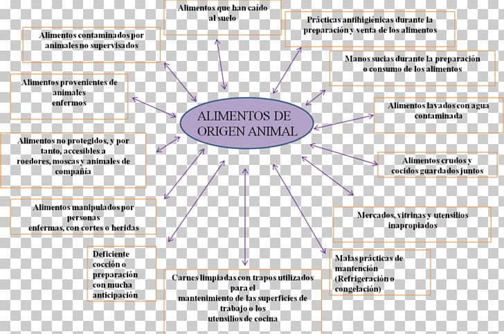 Document Line Organization Angle PNG, Clipart, Angle, Area, Art, Brand, Diagram Free PNG Download