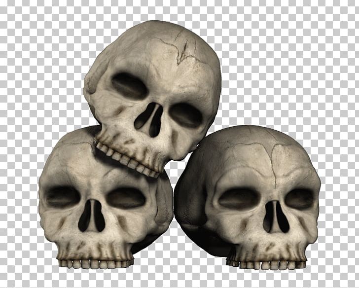 Three Skulls PNG, Clipart, People, Skulls And Skeletons Free PNG Download